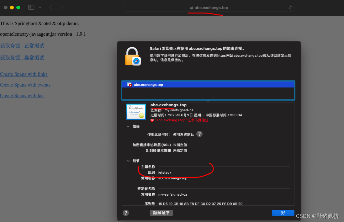 k8s 使用cert-manager证书管理自签