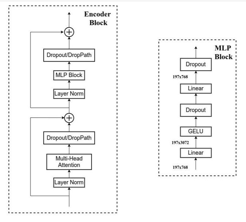 【<span style='color:red;'>论文</span><span style='color:red;'>阅读</span>】<span style='color:red;'>ViTAE</span>:Vision transformer advanced by exploring intrinsic inductive bias