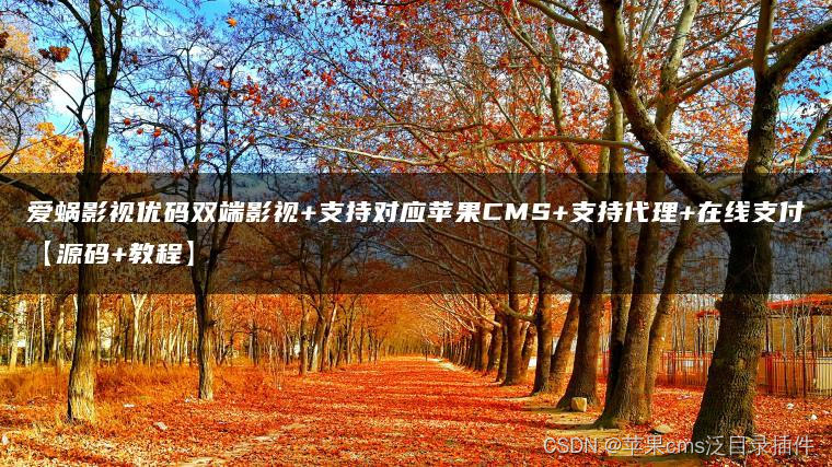 淘宝搜索栏背后的秘密：苹果 CMS 与 Maccms 目录插件解析