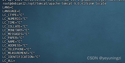 Debian 12 tomcat 9 日志信息 中文显示乱码