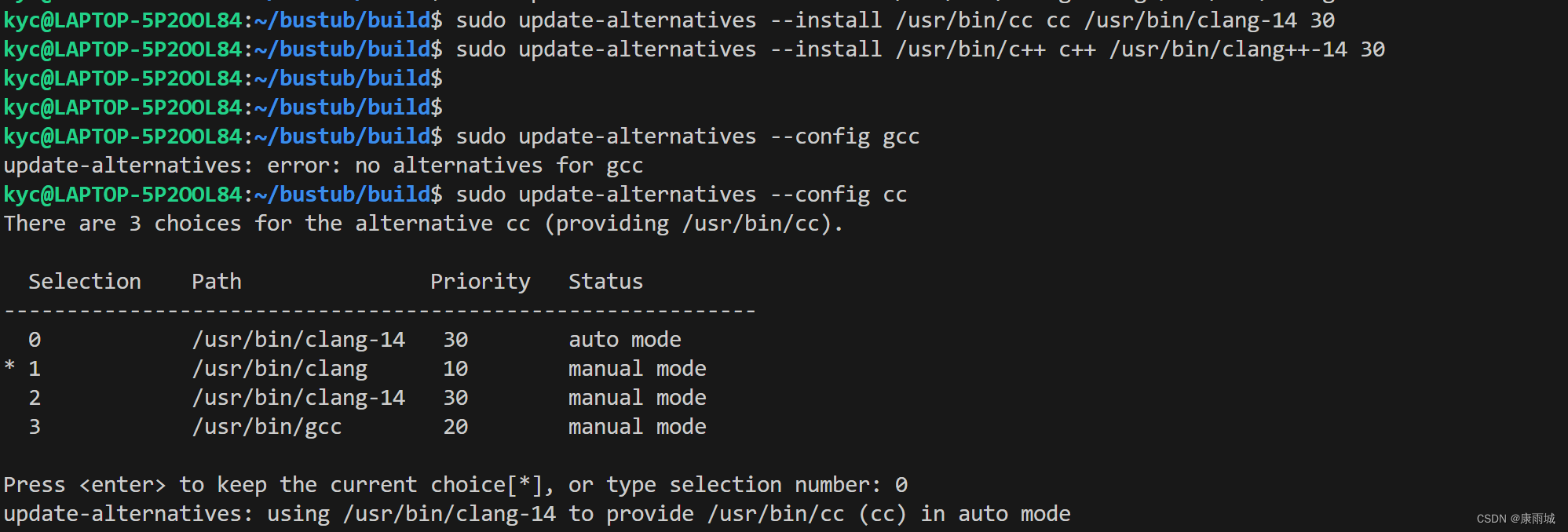We that you use clang14 for developing BusTub.You‘re using