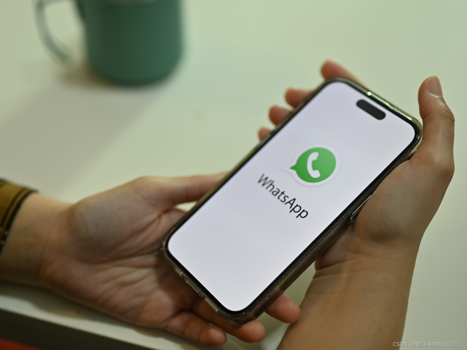 WhatsApp：连接世界的即时通讯巨头