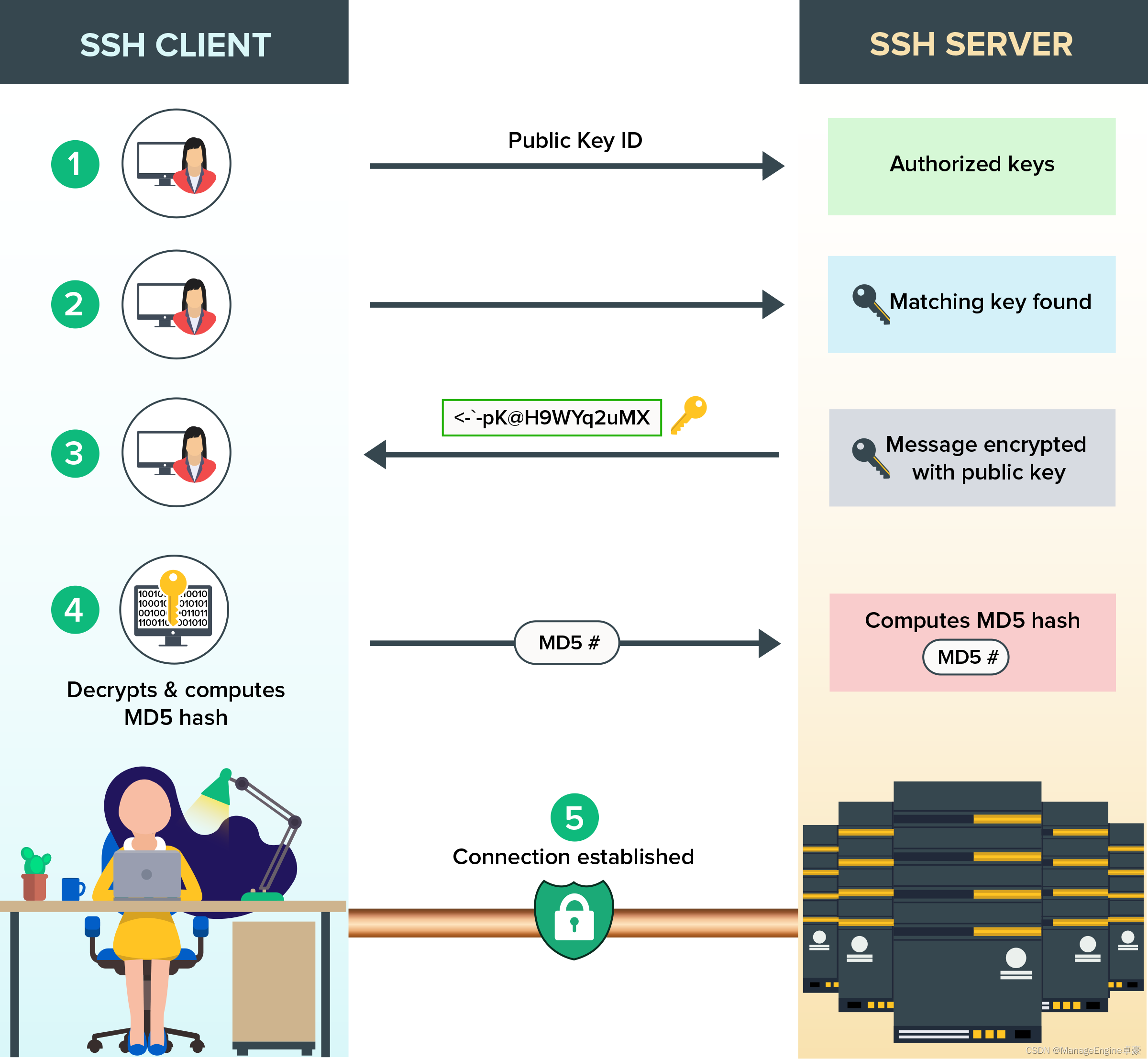 SSH 密钥身份验证和管理