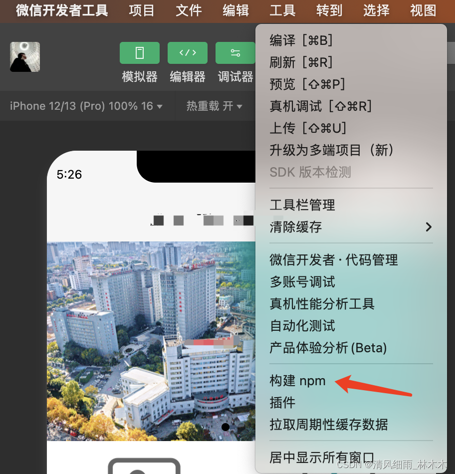 微信小程序开发，引用Vant Weapp UI样式，报错“没有找到可以构建的 NPM 包……”