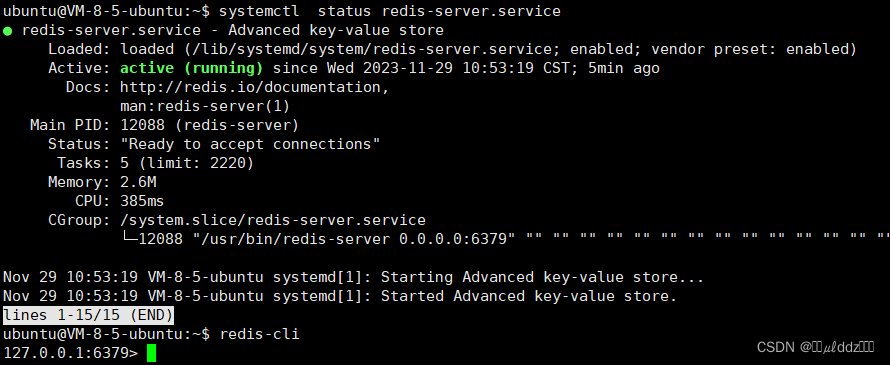 Ubuntu 22.04 LTS 上 安装 Redis