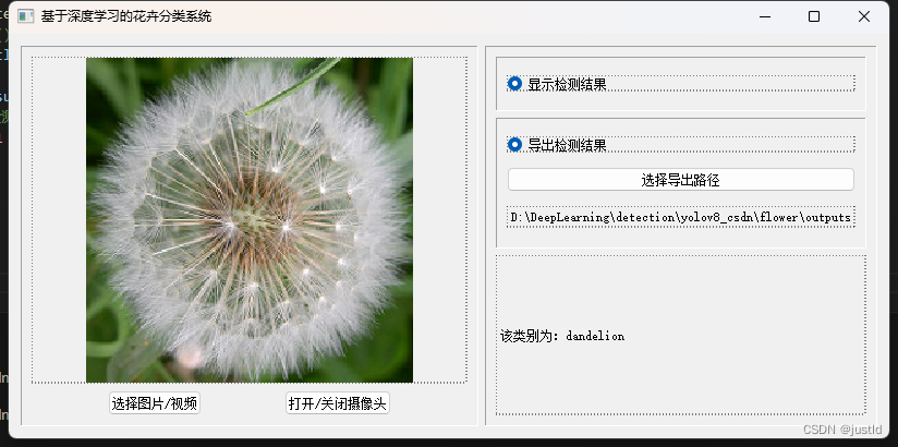 【深度学习目标检测】二十五、基于深度学习的花卉分类系统-含数据集、GUI和源码（python，yolov8）