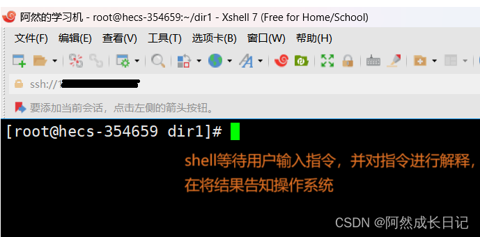 【Linux】谈谈shell外壳是什么？