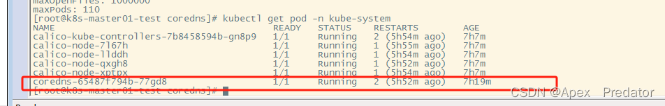 k8s部署coredns