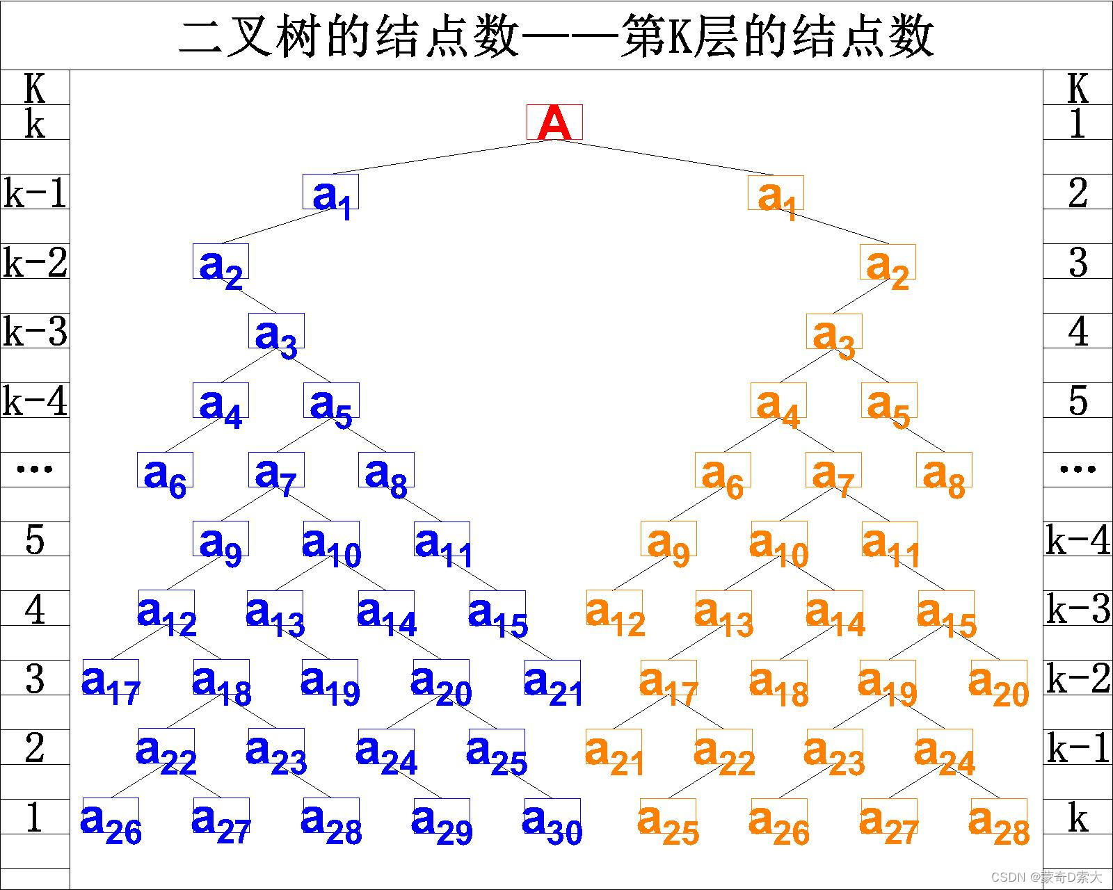 第K层的结点数