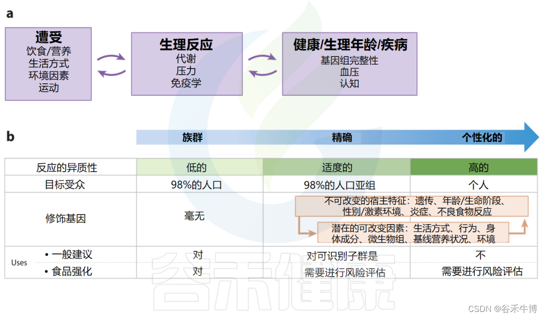 未来饮食方向——通过精准营养降低慢性病风险