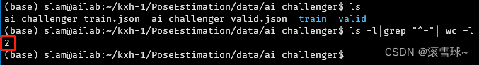 Ubuntu 下统计文件数量的命令