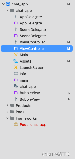 ios 开发如何给项目安装第三方库，以websocket库 SocketRocket 为例