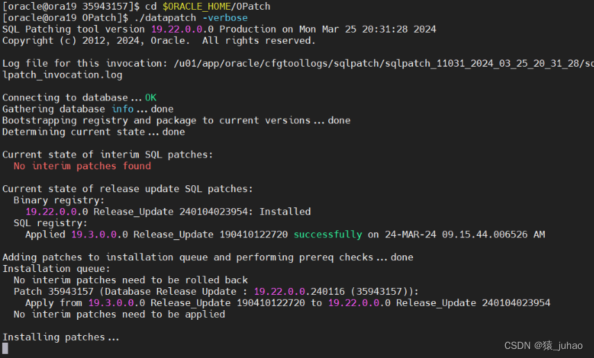 oracle19c单实例补丁升级和回退