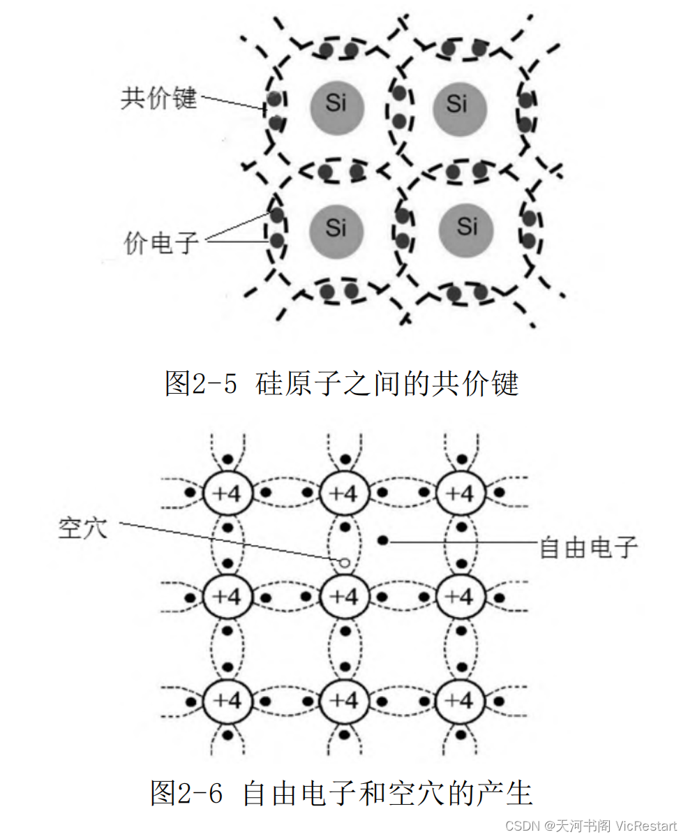 硅原子之间的共价键、自由电子和空穴的产生