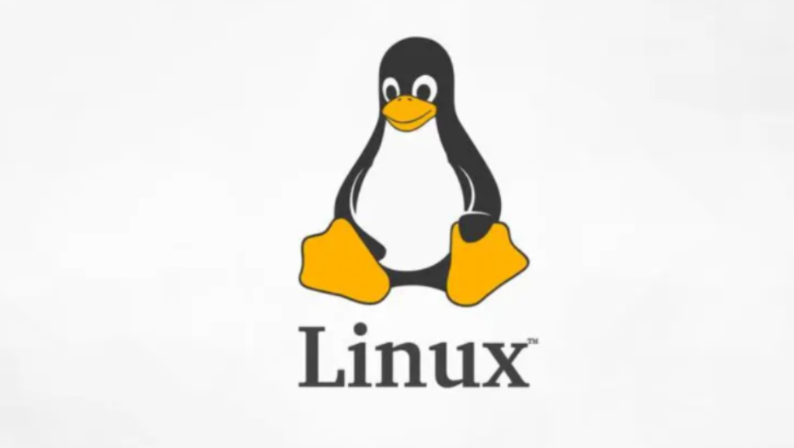 【Linux笔记】文件查看和编辑