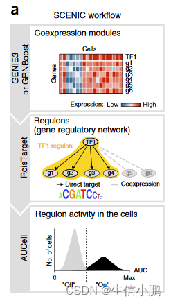 scenic：单细胞调控网络推理和聚类