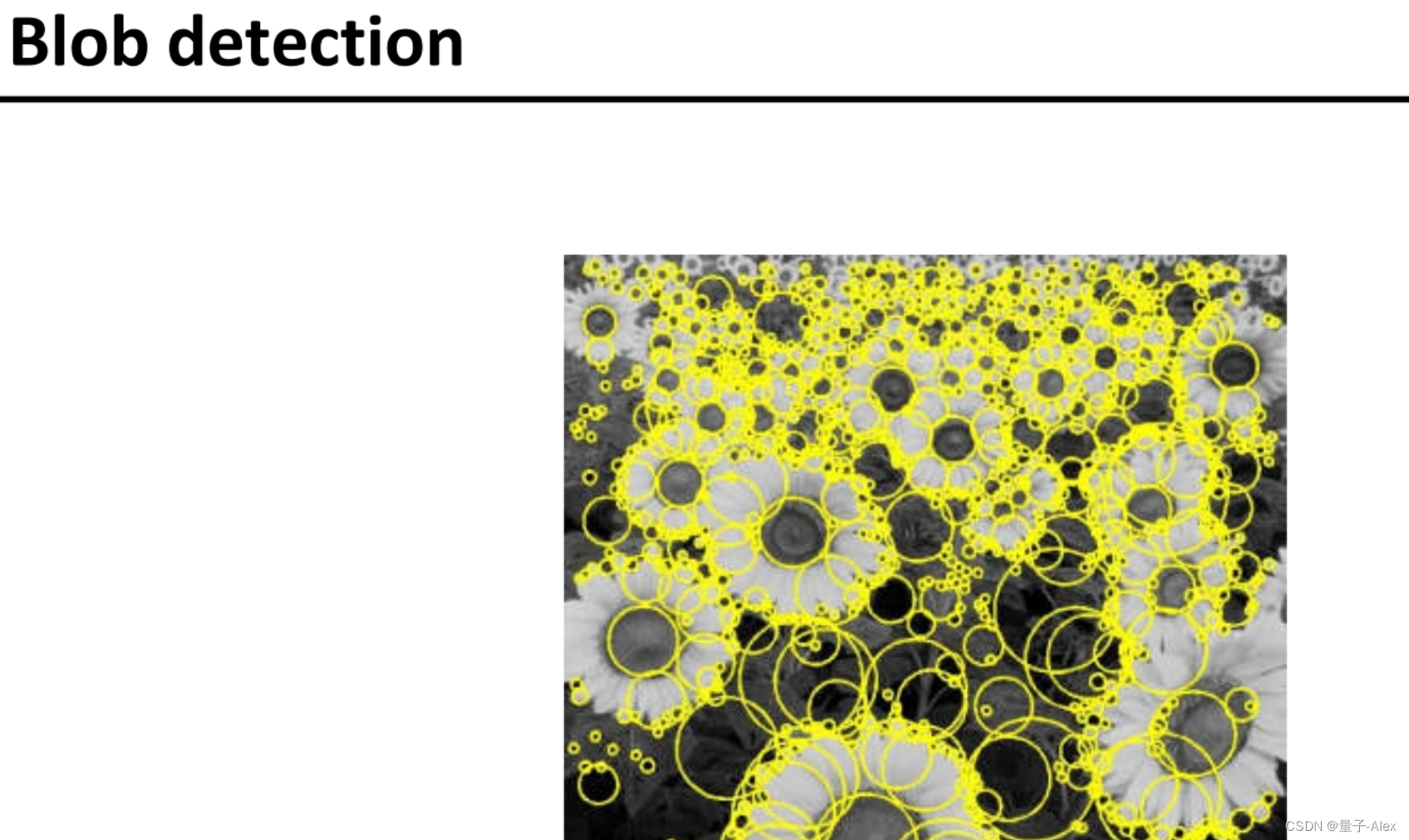 【北邮鲁鹏老师计算机视觉课程笔记】07 Local feature-Blob detection