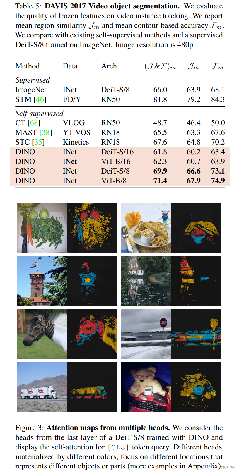 深度学习论文: Emerging Properties in Self-Supervised Vision Transformers