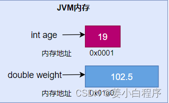 初步了解变量