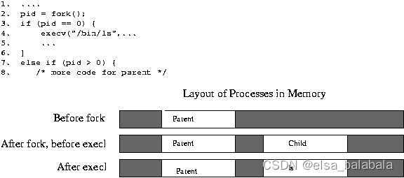 操作系统系列：Unix进程系统调用fork,wait,exec