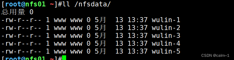 Linux企业架构（存储服务）