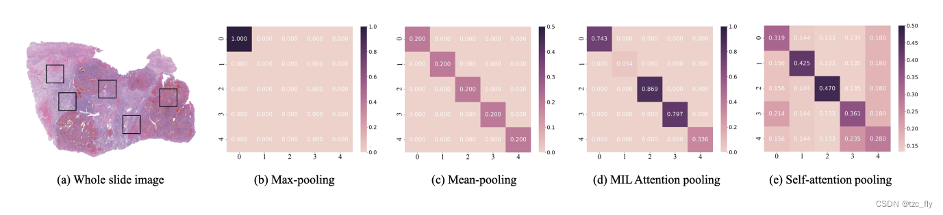 fig2