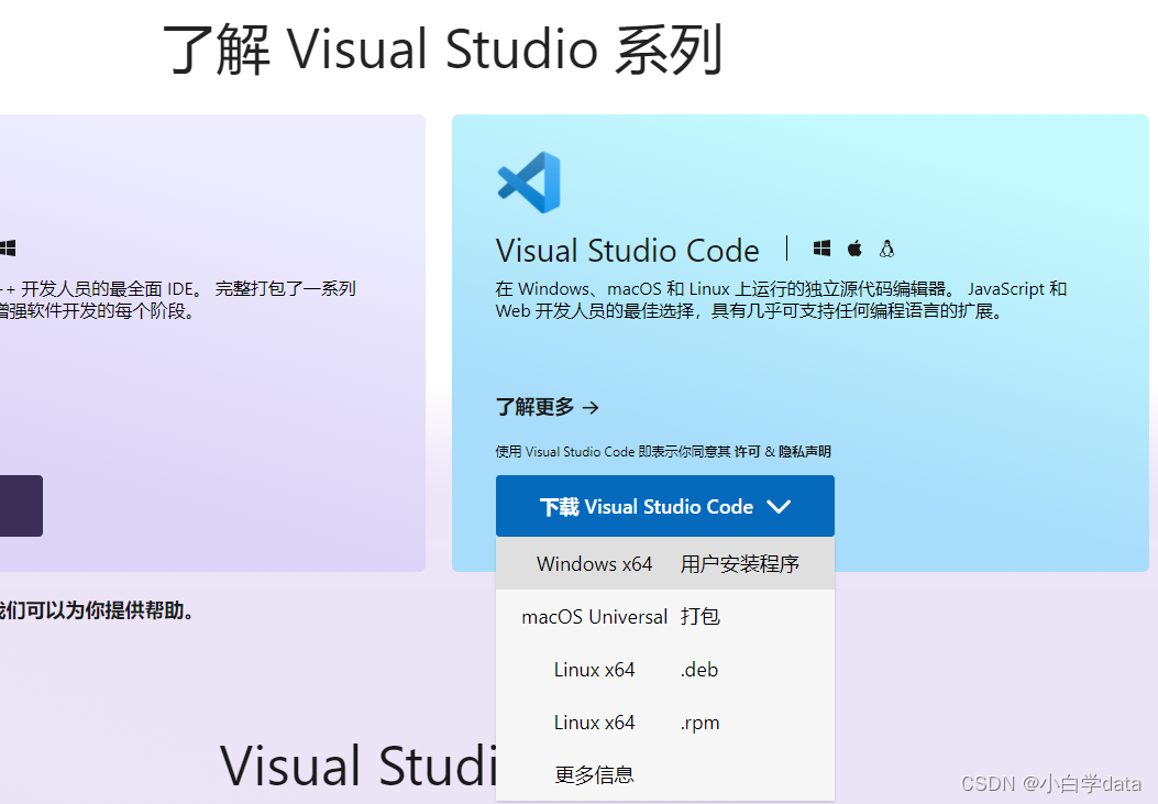 Visual studio Code 的安装教程（2022)和Java的配置与安装_visual studio code 2022-CSDN博客