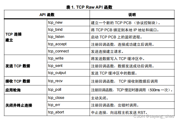 TCP RAW API 函数