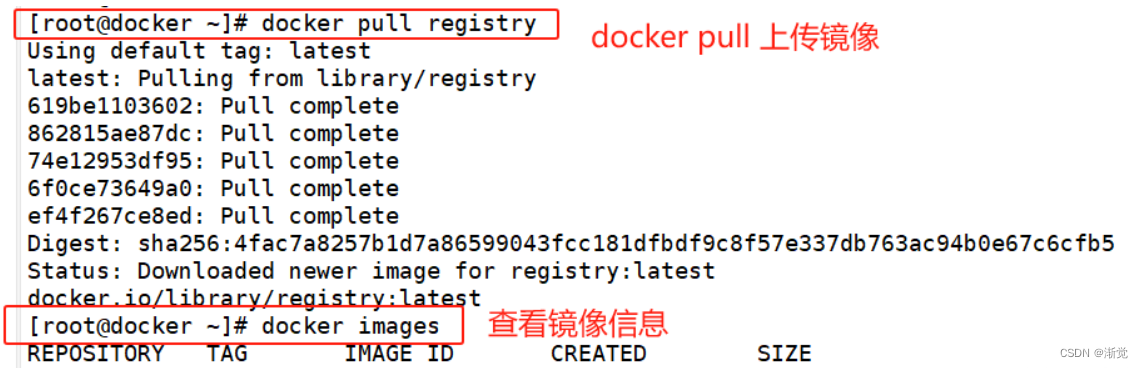 Docker私有仓库<span style='color:red;'>与</span>Harbor<span style='color:red;'>部署</span><span style='color:red;'>使用</span>