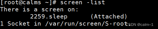 There is a screen on:
2259.sleep    (Attached)
1 Socket in /var/run/screen/S-root.