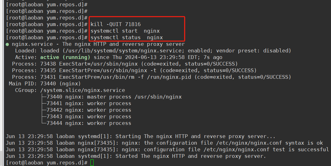 nginx 启动报错：Failed to start The nginx HTTP and reverse proxy server.