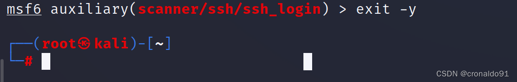 网络安全： Kali Linux 进行 SSH 渗透与防御