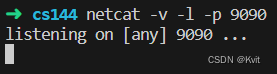 netcat-listening