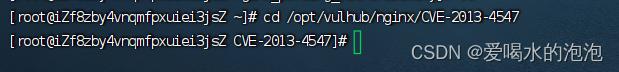 vulhub<span style='color:red;'>中</span><span style='color:red;'>的</span>Nginx 文件名逻辑<span style='color:red;'>漏洞</span>（<span style='color:red;'>CVE</span>-<span style='color:red;'>2013</span>-4547）