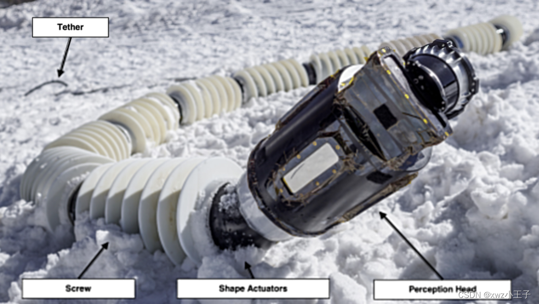 Science Robotics 封面论文：美国宇航局喷气推进实验室开发了自主蛇形机器人，用于冰雪世界探索