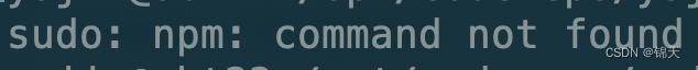 sudo command not found