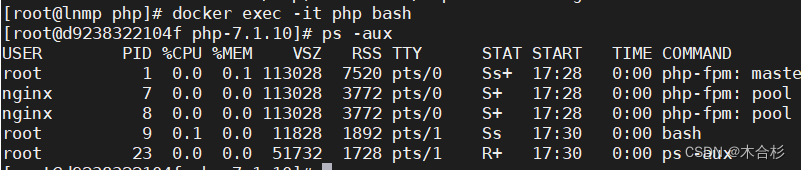 使用docker搭建LNMP架构