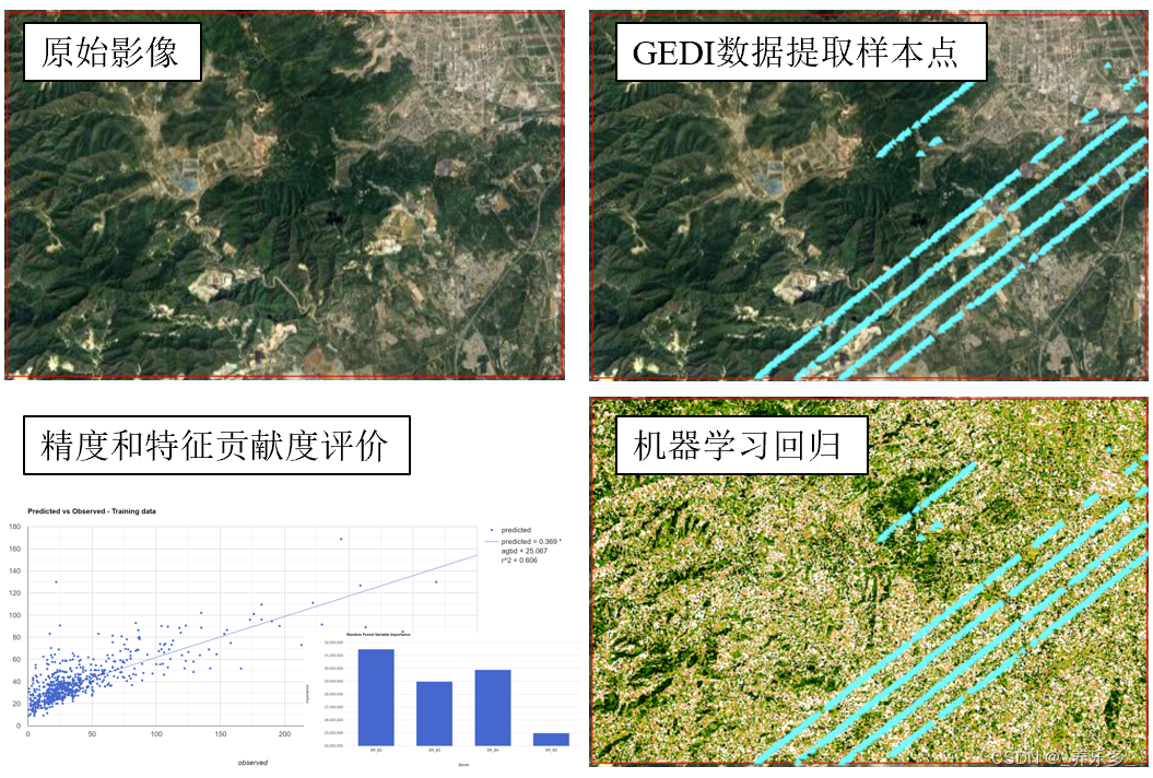 GEE：基于GEDI-4A 级（L4A）数据和机器学习方法预测地上生物量密度（AGBD；单位为 Mg/ha）