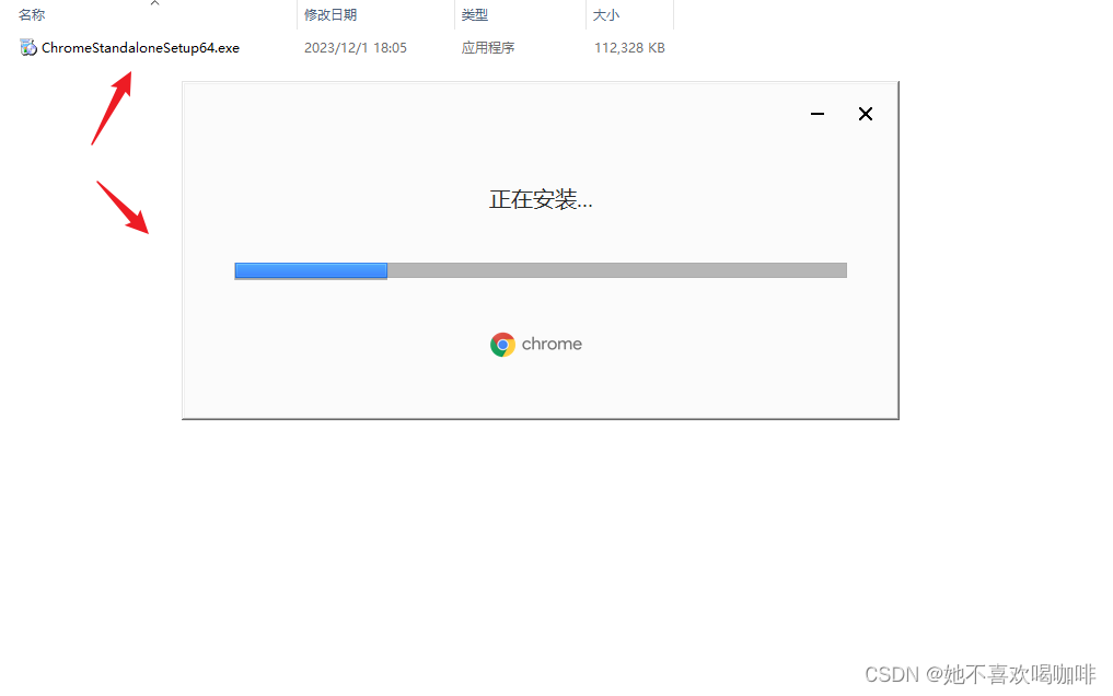 Google Chrome 下载 (离线版)