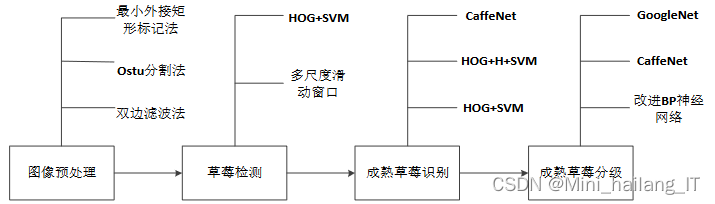 毕业设计：基于机器学习的草莓成熟度识别分类系统 人工智能 python 目标检测