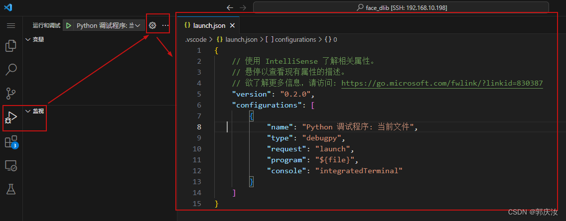 <span style='color:red;'>使用</span>vscode<span style='color:red;'>传入</span><span style='color:red;'>参数</span><span style='color:red;'>的</span>方式<span style='color:red;'>进行</span>debug