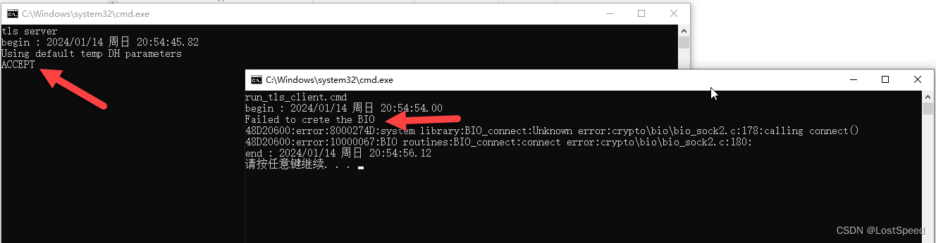 openssl3.2 - 官方demo学习 - guide - tls-client-block.c