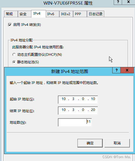 Windows 2012 R2 单网卡安装 PPTPVP*