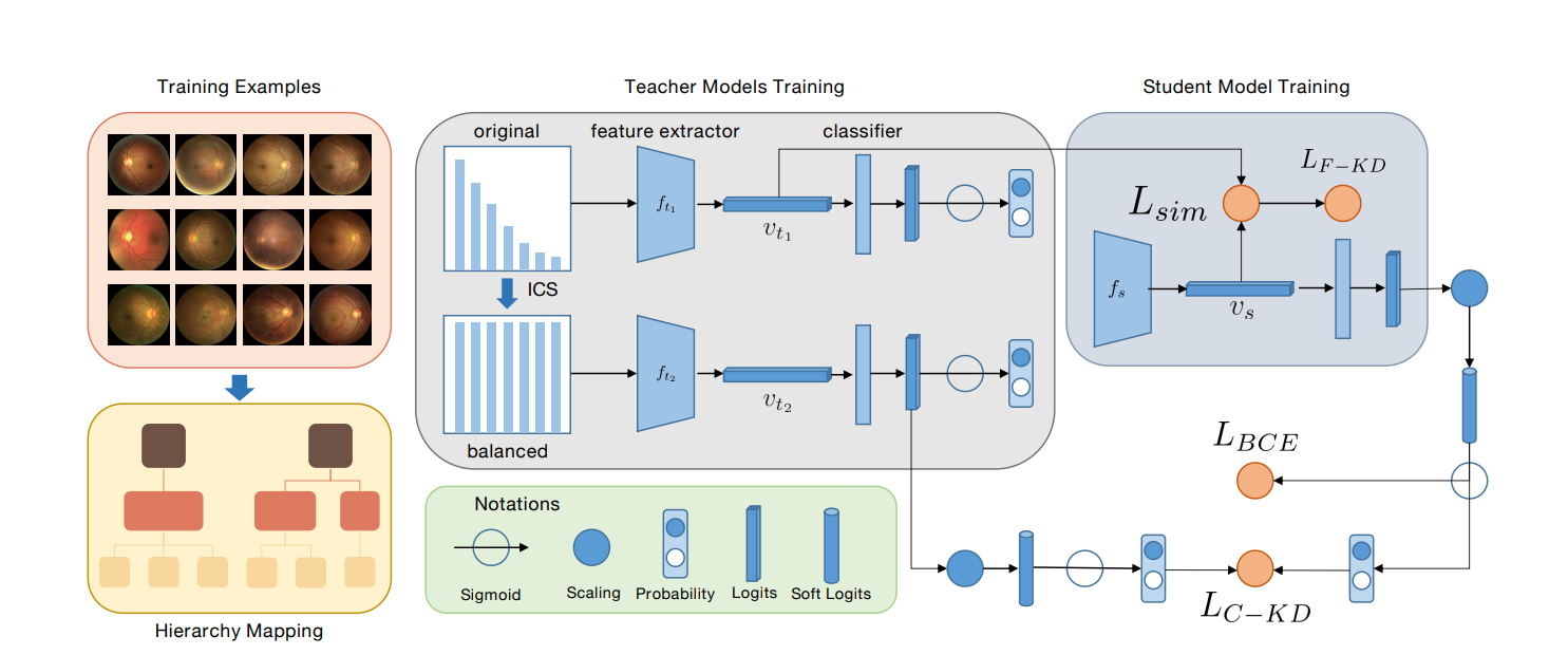 【解决视网膜长尾数据】实例级类平衡、层次预训练、混合知识蒸馏