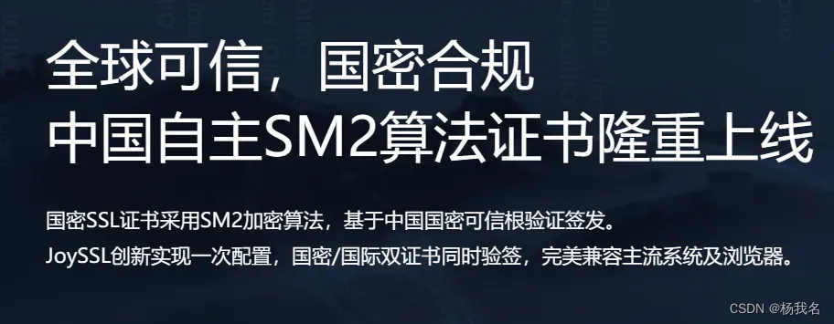 【国产SSL】哪家SSL证书可以保证数据不出境，是在国内验签