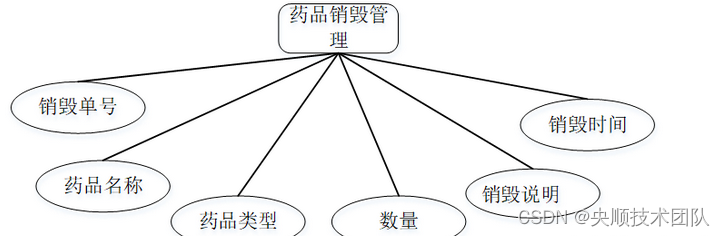 图4-7药品销毁管理实体属性图