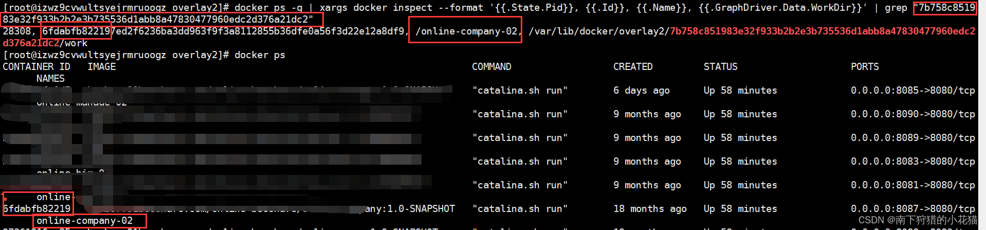 通过docker overlay2 目录名查找占用磁盘空间最大的容器名和容器ID