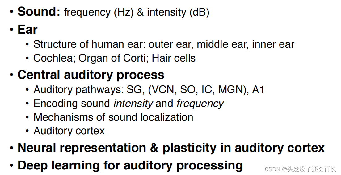【BI&AI】Lecture 5 - Auditory system